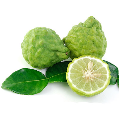 Bergamot