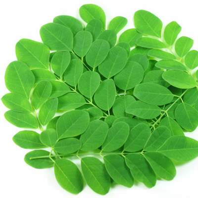 Moringa